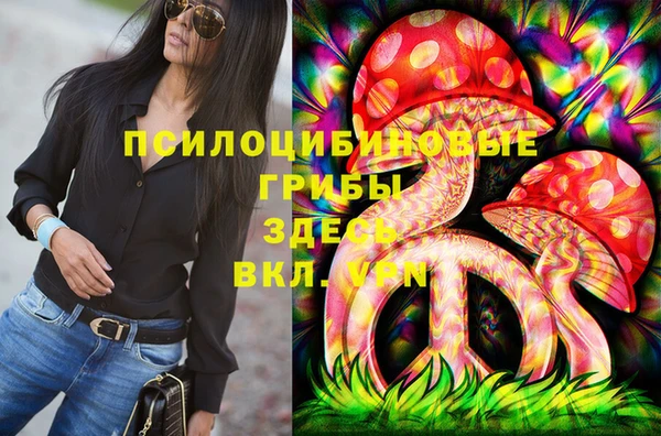 твердый Алексеевка