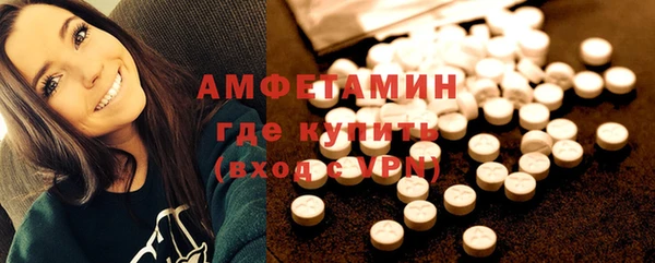 амф Новозыбков