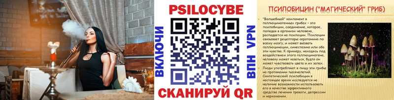 блэк спрут вход  Хотьково  Галлюциногенные грибы Psilocybe 